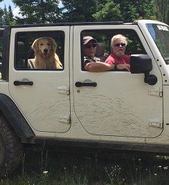 Jeeps and Dogs